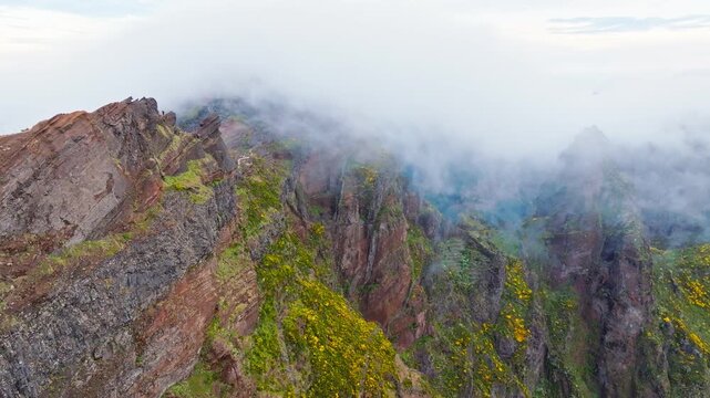A mountain covered in fog and clouds with blooming Cytisus shrubs. Near Pico de Arieiro , Madeira island, Portugal. Pull away out retreat dolly shot