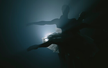 Graceful ballerina and her male partner dancing elements of classical or modern ballet in dark with floodlight backlight. Couple in smoke on black background. Art concept.