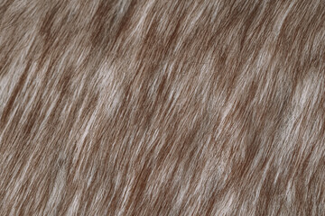 Fototapeta premium Luxurious detailed close up of soft brown and creamy white animal fur texture background elements