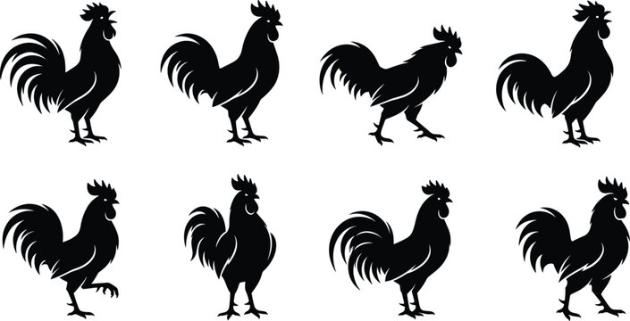 Rooster Silhouette Vector Collection, Black Chicken Icon Set, Farm Animal Poultry Graphics