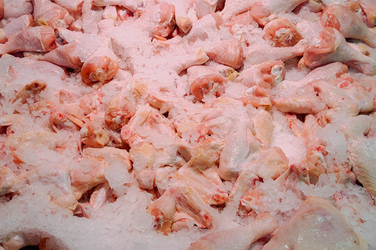Fresh raw chicken pieces, various cuts like drumsticks and wings, chilling on crushed ice for sale