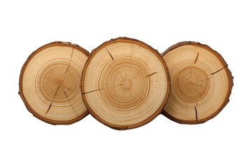 Three wood slices creating a natural wood grain pattern, showing annual rings and texture on a transparent alpha background