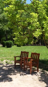 Two wooden chairs under tree in peaceful park setting