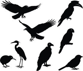 Black silhouette collection of various bird species including flying crows exotic parrots hornbill heron and vulture isolated on white background for nature and wildlife design © SREEMOTIDIPIKA