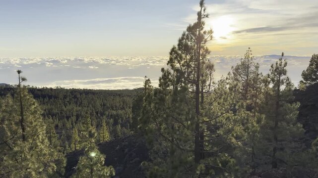 Sunset View from Mirador de Samara Teide National Park Tenerife
