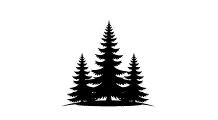 Silhouette of three evergreen trees on a hill © Graphicslover