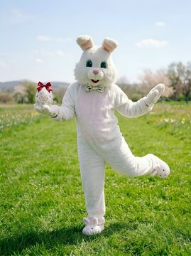 Portrait en plein air d'un lapin de P&acirc;ques debout dans une prairie fleurie sous un ciel bleu printanier.