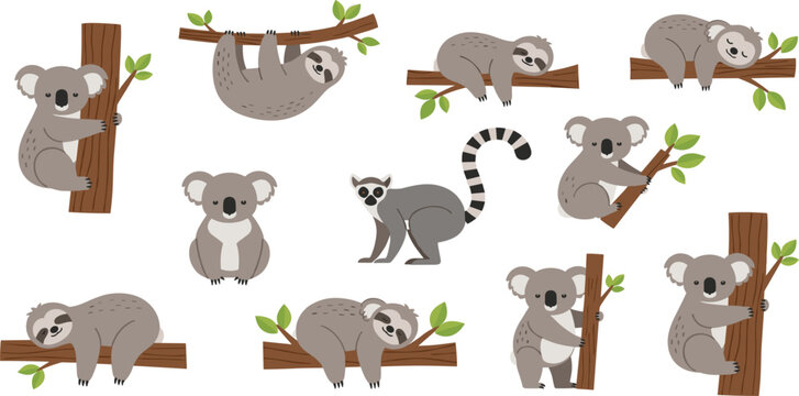Cute Koala and Lemur Sticker Set Featuring Various Poses, Tree Climbing, and Relaxing for Kids' Design