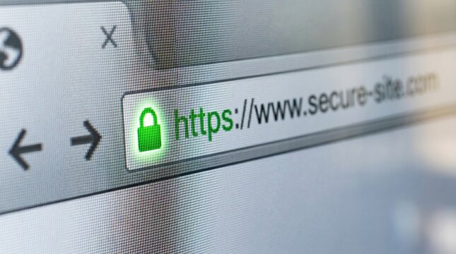 Secure site with green padlock icon in web browser address bar - Concept of Internet Safety Day  