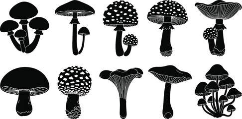 Mushroom silhouettes collection with various forest fungi shapes including toadstools and wild mushrooms isolated botanical illustration set © EdGe Creative