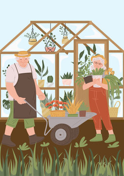 Vector illustration of a grandfather and grandmother couple enjoying the activity of growing potted plants in a greenhouse.