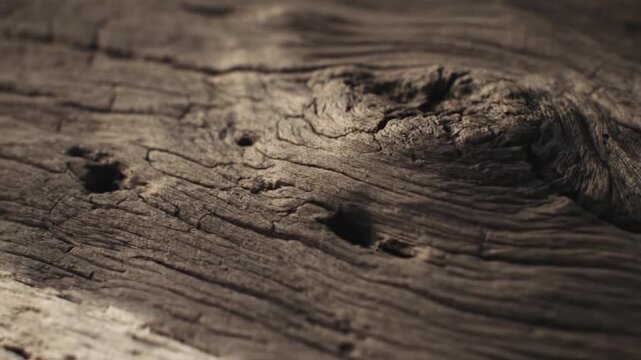 Close-up of a weathered wooden surface with visible texture and natural patterns