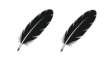Fototapeta premium Two black feathers displayed against a plain white background silhouette