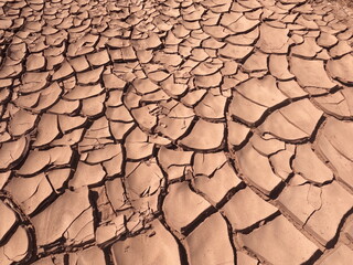 Cracked Dry Earth