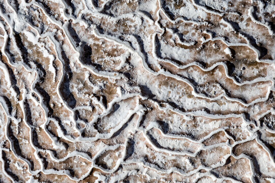 Natural patterns on textured travertine surface