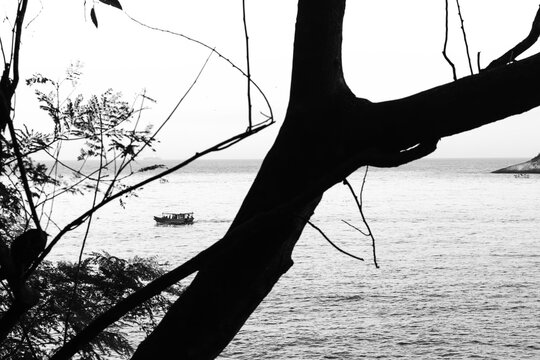 Serene boat view through silhouetted trees on beach