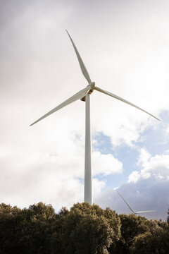Windmills harnessing renewable energy amid nature