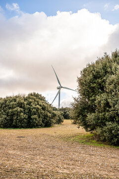 Wind turbine amidst lush greenery under cloudy sky