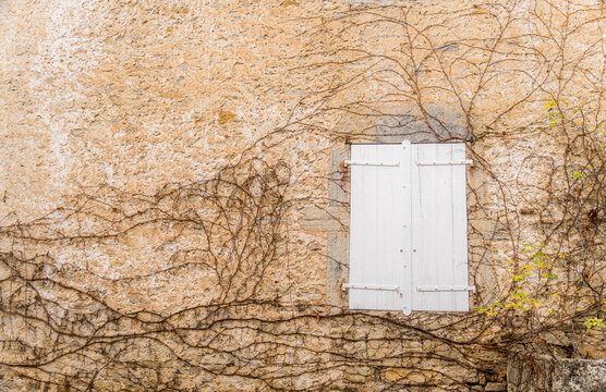 White wooden shutters on rustic stone wall with vines