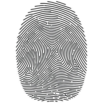 Detailed black and white image of a human fingerprint showing unique patterns