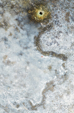 Patterns in deteriorating glaze, closeup