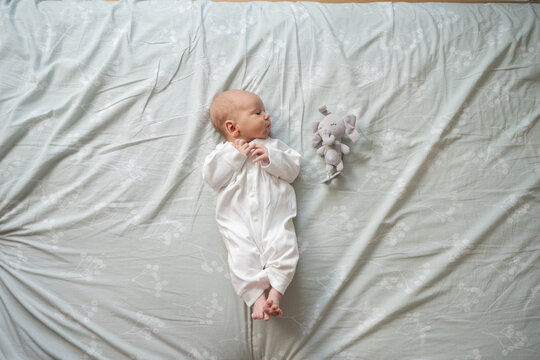 Peaceful newborn sleeping with toy elephant at home