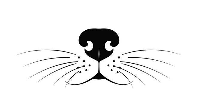 Close up of a seal s nose and whiskers striking black form silhouette