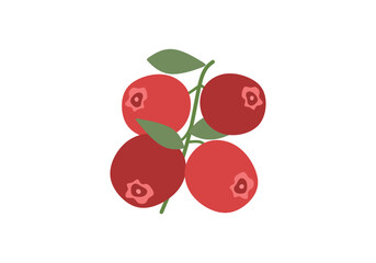 Obraz premium Cranberry flat vector illustration. Red tart berry fruit icon for autumn harvest design.