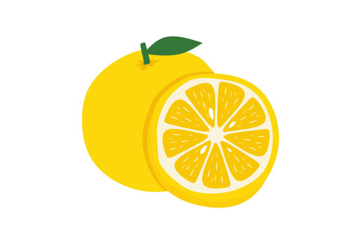 Flat yuzu vector illustration. Yellow japanese citrus fruit icon isolated on white background.