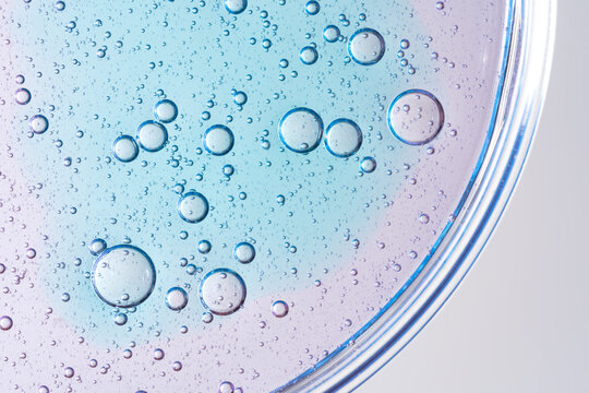 Abstract macro view of bubbles in a petri dish