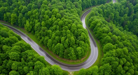 Aerial view of a winding road through a dense green forest landscape