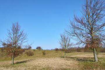 In Hannover, Natur & Freizeit: Der angrenzende Kronsberg mit dem Kronsberg-H&uuml;gel bietet Erholungsm&ouml;glichkeiten.
