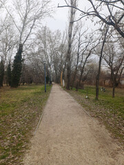 Obraz premium winter riverside walk along river