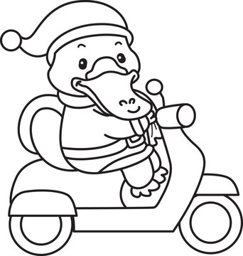 Cute set of platypus sticker with christmas activity. Platypus 