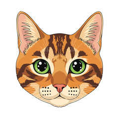 Obraz premium An illustration of a cat's face with green eyes and orange fur viewed from the front