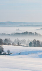winter landscape with fog