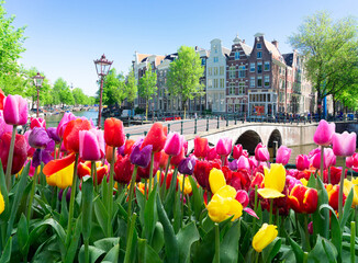 Houses of Amstardam, Netherlands