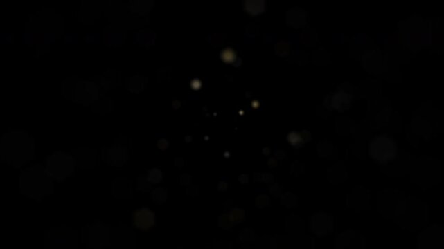 Elegant Particle titles for Dynamic Videos