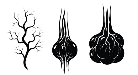 Abstract floral designs with root like forms a striking silhouette © Lhvect02