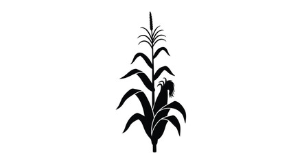 Detailed black silhouette of a mature corn stalk with tassels © MDRAYHAN