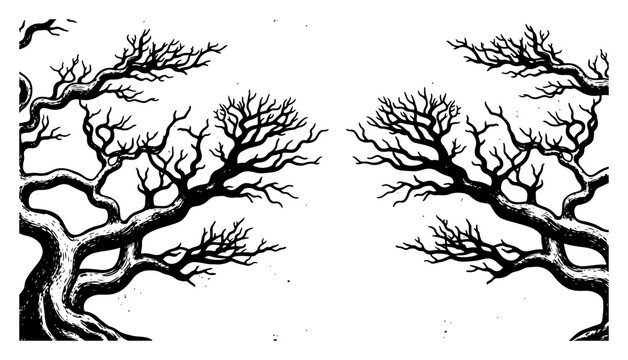 Two gnarly leafless trees forming a natural border frame