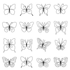Set of Hand-Drawn Butterfly Illustrations insect wing © Priyom