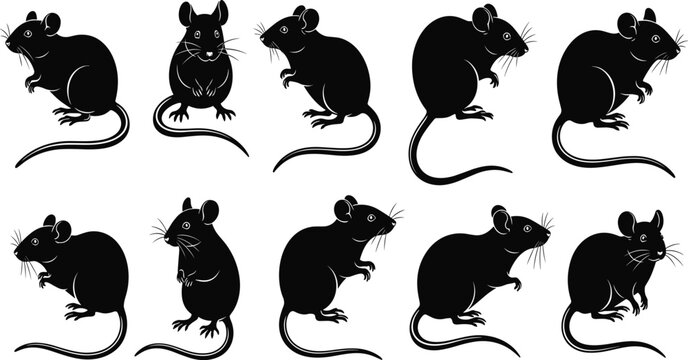 Black mouse silhouette collection featuring various rat poses and rodent characters in cad drawing flat vector illustration for pest control