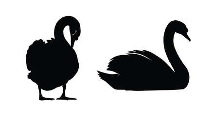 Two elegant swans are depicted in a striking black silhouette © MK2.00