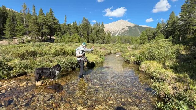 Woman fly fishing with her Sheltie dog in Colorado's high country. This is on Red Mountain Creek in Taylor Park.