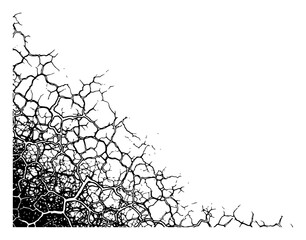 Obraz premium Hand drawn dry ground cracks or organic root network pattern texture