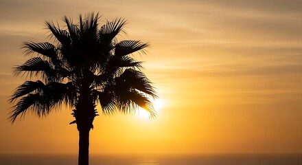 Silhouette of a palm tree against a vibrant sunset sky with scattered clouds