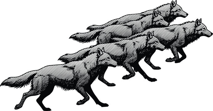 Running Wolf Pack Sketch Vector Illustration with Wild Wolves in Motion, Hand Drawn Wildlife Predator Animal Design