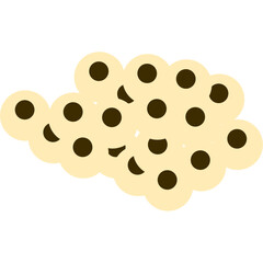 Frog Egg Cluster