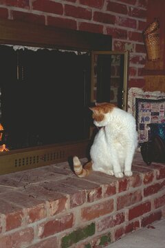 Keeping Warm By The Fire
